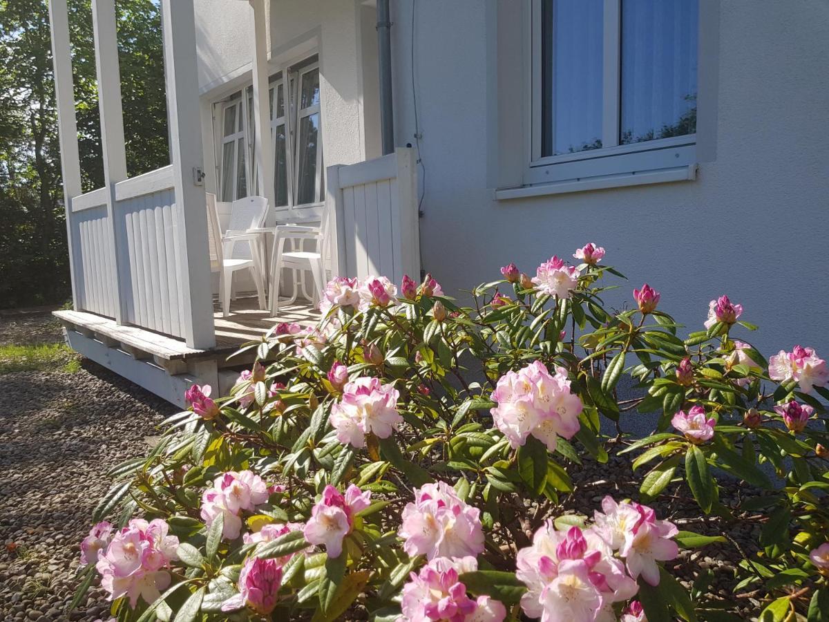 Residenz Seeblick Whg 4, Mit Gartenzugang Sellin  Eksteriør billede